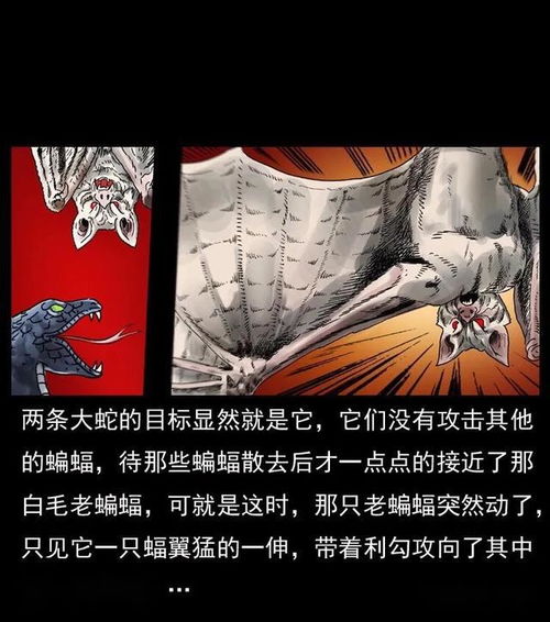 大南迁电视剧中救皇上是那一集
