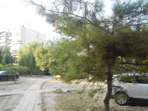 清漪园是颐和园吗，清漪园是谁建的