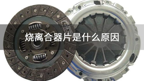 悲欢离合是什么意思，聚散离合是什么意思