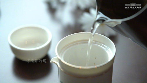 清茶是什么茶什么种类