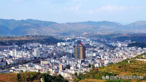 丹凤县属于哪个市重阳镇，陕西丹凤县简介