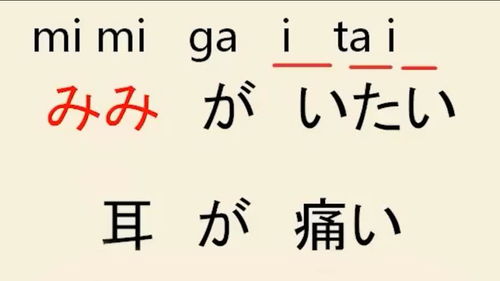 耳朵的拼音怎么读音写，耳朵的拼音正确写法
