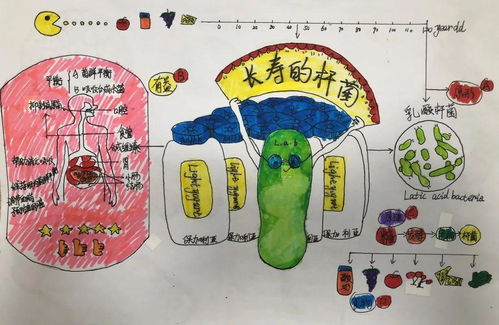 细菌世界历险记的手抄报上面的字写一些什么呢?