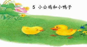 小公鸡和小鸭子课件背景图片，小公鸡和小鸭子课件素材