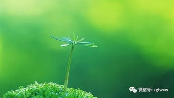 雨丝造句二年级下册