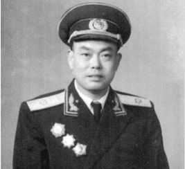 知青最后回城的有几个