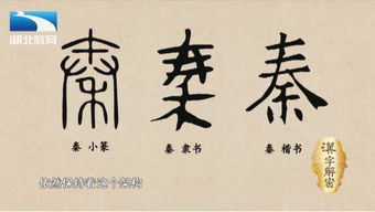 历史姓秦的名人，姓秦的名人明星