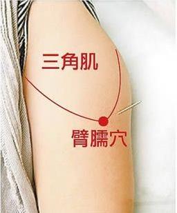 臂臑怎么读音