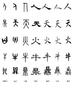 文字的演变过程ppt，中华文字的演变过程