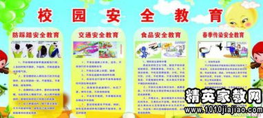 安全教育的心得体会300字，关于国家安全教育的心得体会