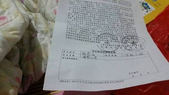 高中家长评语怎么写 家长对孩子的评价