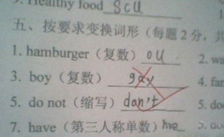 boy的复数怎么变，box复数