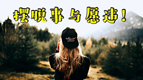 自己人歌曲，自己人和外人的区别