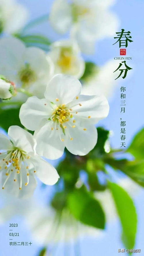 春雨成语