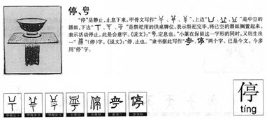 停的组词是