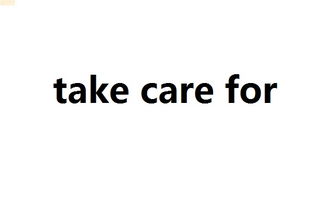 take care of与take care有什么区别?