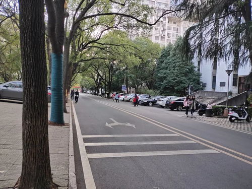 逻辑理路与实践进路的区别