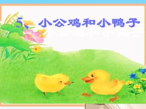 小公鸡和小鸭子评课稿子评课优缺点