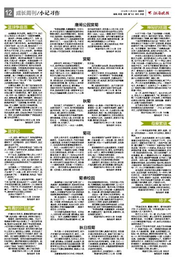 拔牙优秀作文