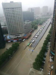 武汉解放大道在哪个区