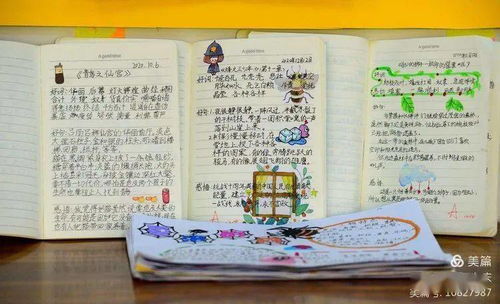 二年级读书笔记好词好句摘抄及感悟，二年级读书笔记50字