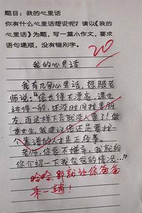 我的心其实你不懂作文