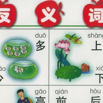 拥挤的反义词英语，拥护的反义词是什么词语呢