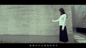 我的影子会挂机漫画免费下拉式观看，我的影子是怪物杀手
