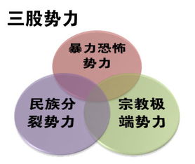 三股势力给我们带来的危害 心得体会，三股势力方面存在的问题