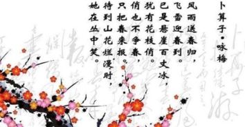 俏也不争春打一数字，俏也不争春的春是什么意思