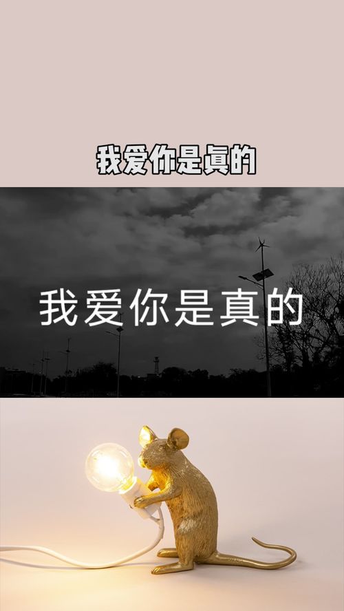 个人感悟与心得体会【优选10篇】