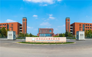 河师大新联学院录取分数线，河师大新联学院是民办还是公办