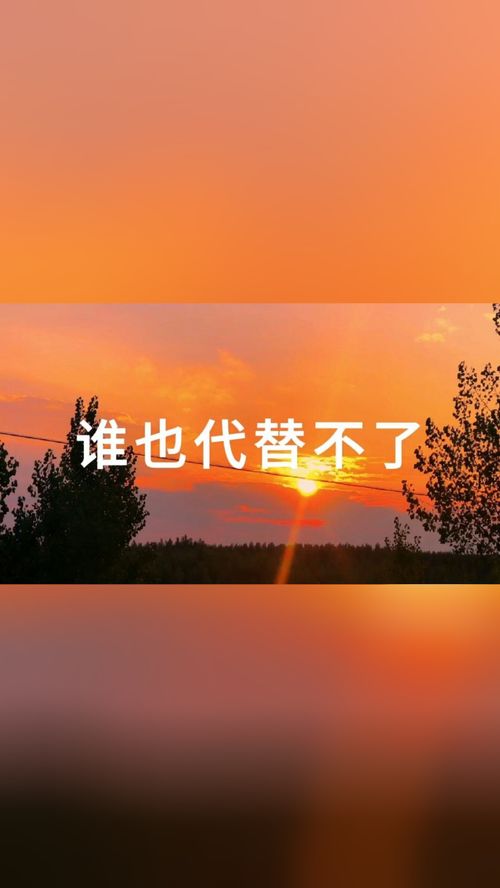 我的感悟20字，我的感悟500字作文