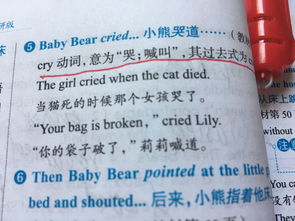 cried是什么意思英语怎么读音，crie是什么意思中文翻译