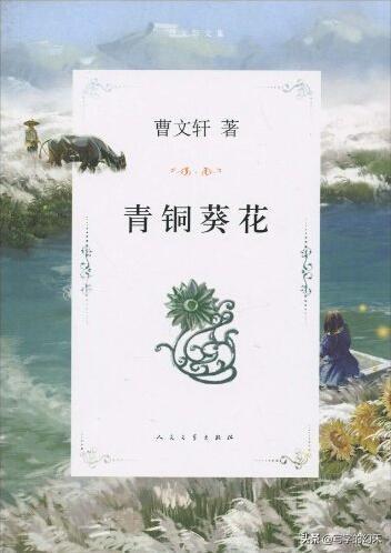 青铜葵花好词好句