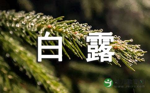 二九、三九、四九分别是哪几九?