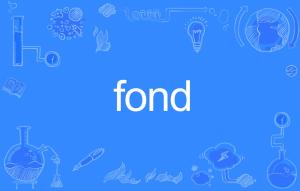 fond of，fondest