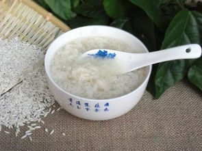 _醪怎么读