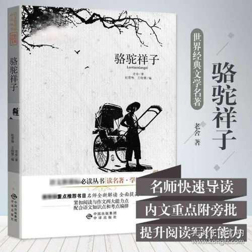 给《骆驼祥子》这本书写一句推荐语。
