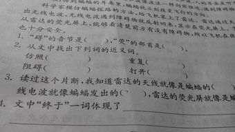 硕大的近义词 硕大的意思