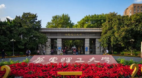 华东理工大学怎么样知乎，江西华东理工大学怎么样