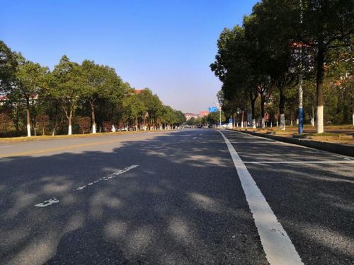 理路子，理赔保险多久到账