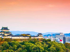 日本和歌山的关闭时间日本和歌山最美的月份是几月?