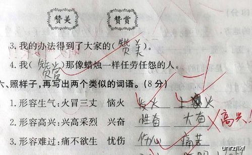 胡能组什么词?