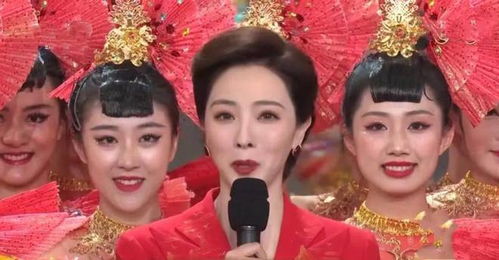 央视女主持人李思思简历，李思思简历 资料个人