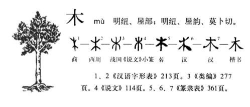 各个文字的演变过程?