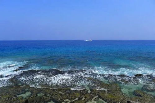 海岸带生境是海洋生态保护修复的重点对象，海岸带综合保护与利用规划