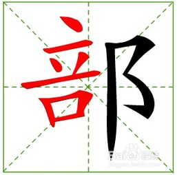 荡笔画笔顺