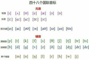 foot的音标，food的音标怎么写读