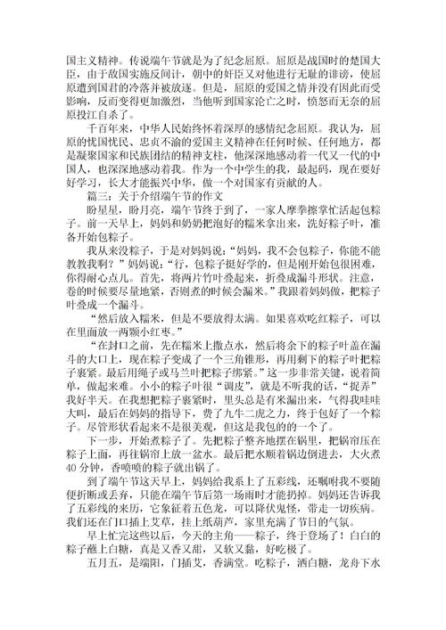 关于端午节作文600字5篇